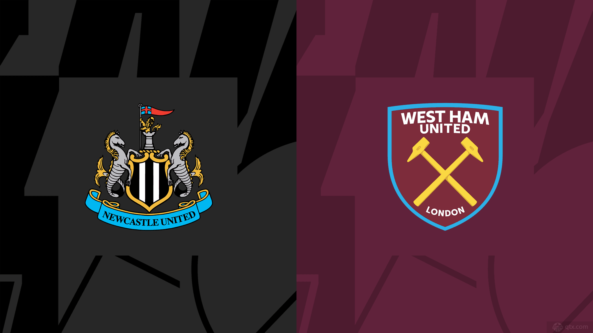 乒选手展示 乒选手展示